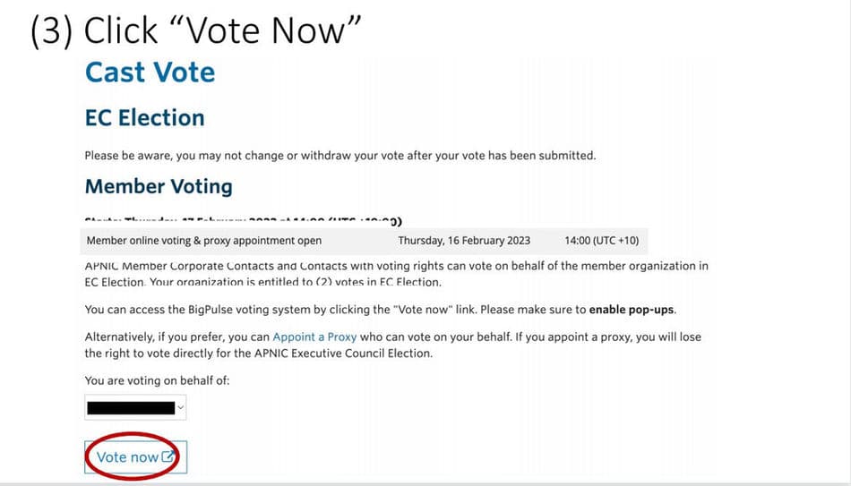 (3) Click “Vote Now”