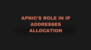 Read more about the article APNIC’s Role in IP Addresses Allocation