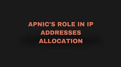 You are currently viewing APNIC’s Role in IP Addresses Allocation