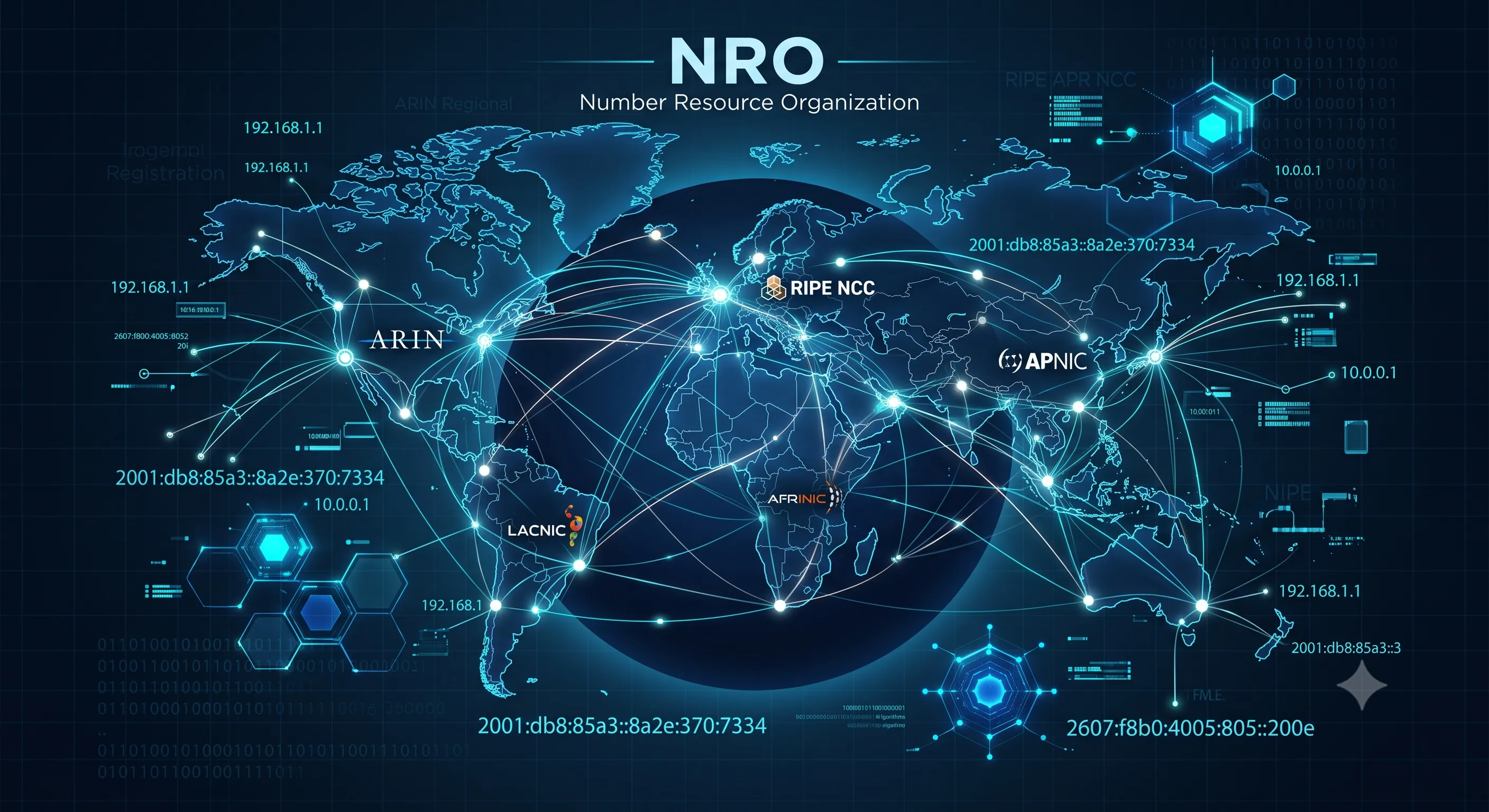 What Is the Number Resource Organization (NRO) and What Does It Do?