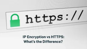 Read more about the article What is IP Encryption