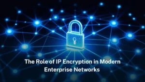 Read more about the article The role of IP encryption in modern enterprise networks