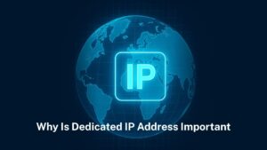 Read more about the article Why is A Dedicated IP Address Important