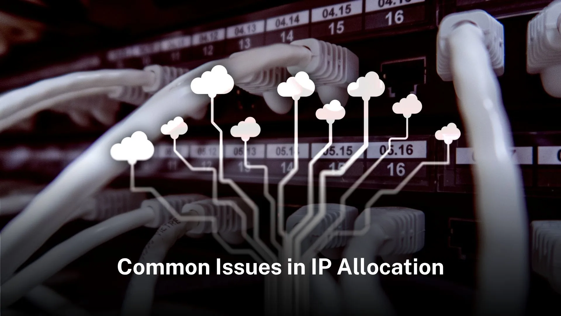 Read more about the article Common issues in IP Address Allocation