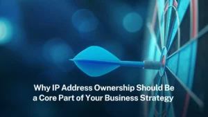 Read more about the article Why IP Address Ownership Should Be a Core Part of Business Strategy  
