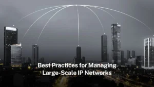 Read more about the article Best Practices for Managing Large-Scale IP Networks