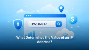 Read more about the article What Determines the Value of an IP address