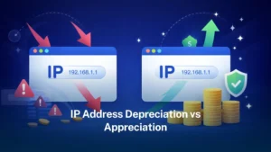Read more about the article IP address depreciation vs appreciation in the IPv4 era and NRS’s role