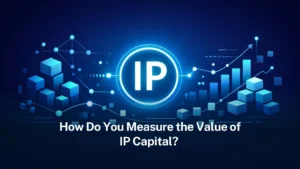 Read more about the article How do you measure the Value of IP Capital?