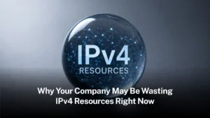Read more about the article Why your company may be wasting IPv4 resources right now